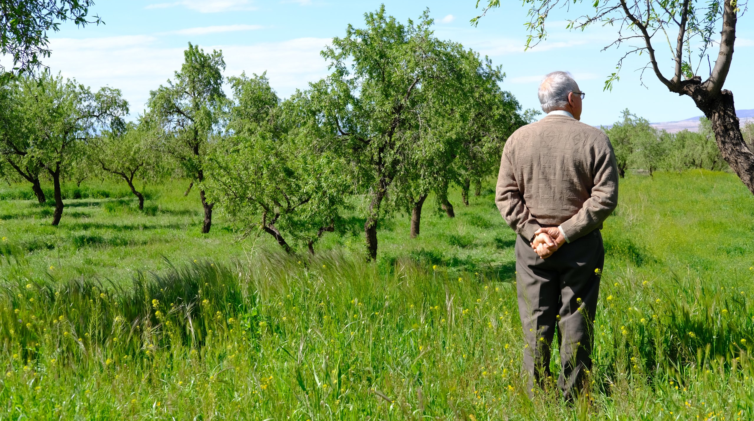 Cover photo: Señor Gomez, farmer, inspecting the ground cover in his regenerative almond grove in Ferreria, Altiplano Estepario, Spain. Photography: Tom Lovett.